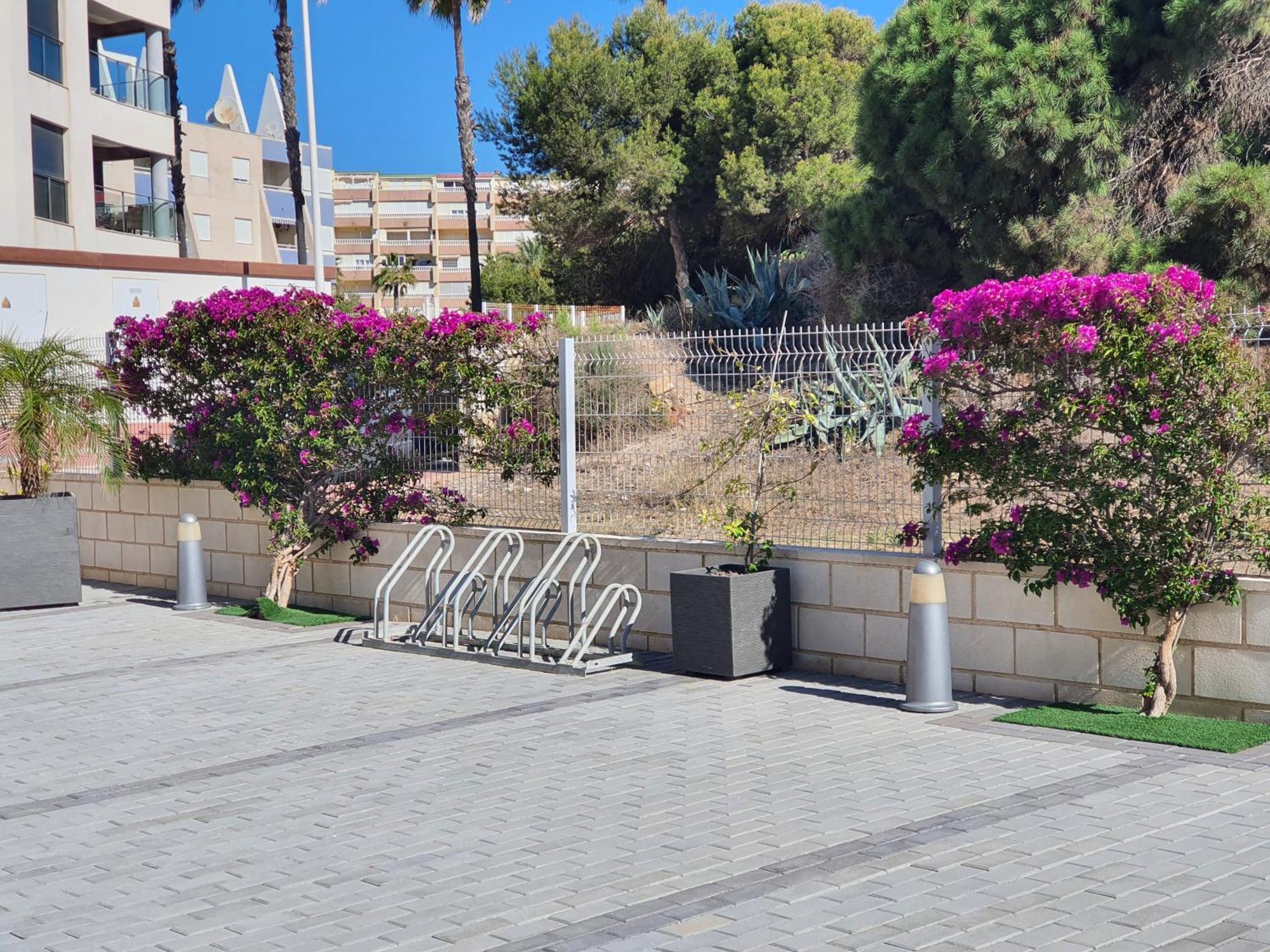 Al048 Pinada Iv Apartamento La Mata (Torrevieja)