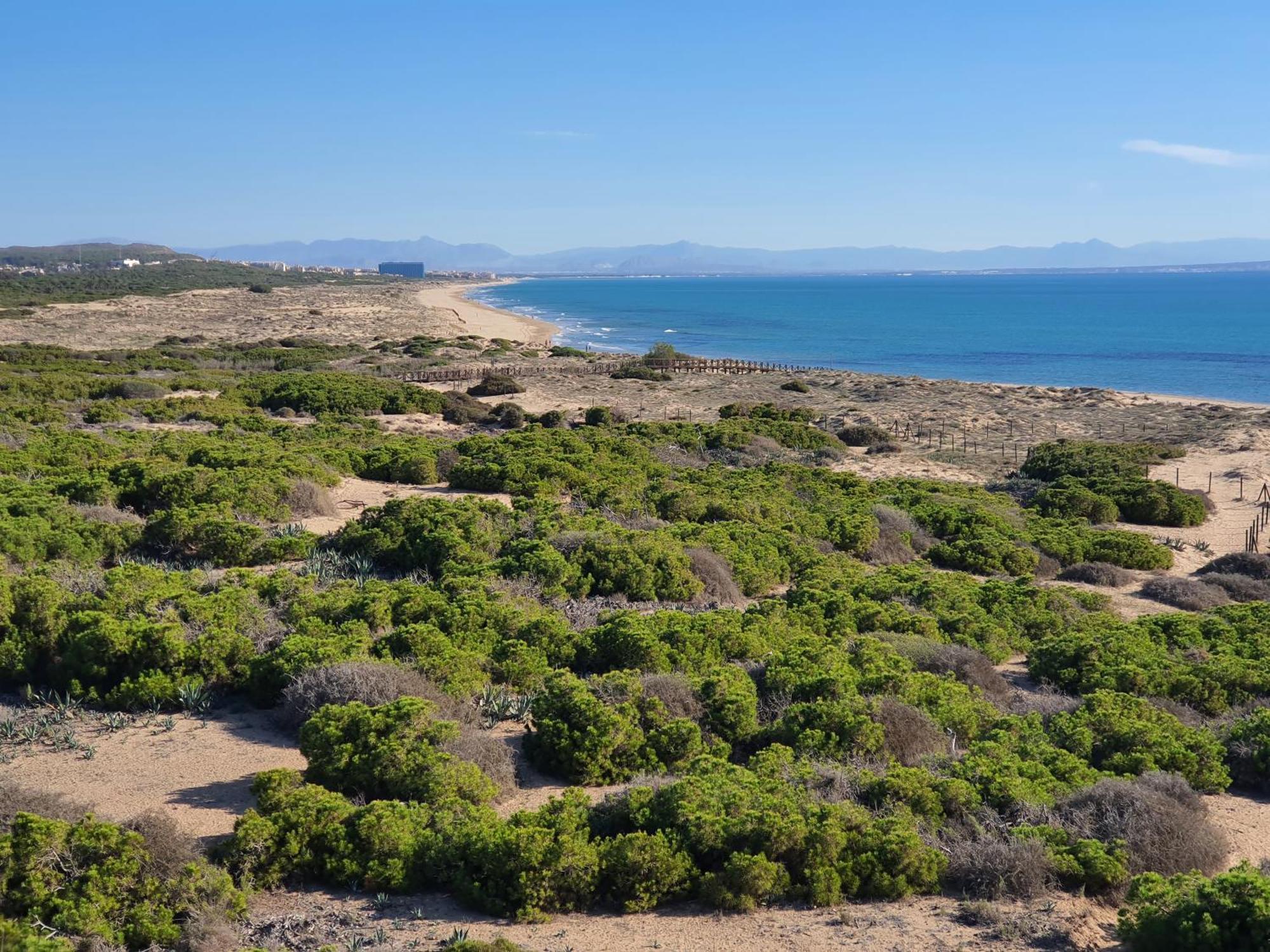 Al048 Pinada Iv La Mata La Mata (Torrevieja)